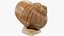 Snail V1