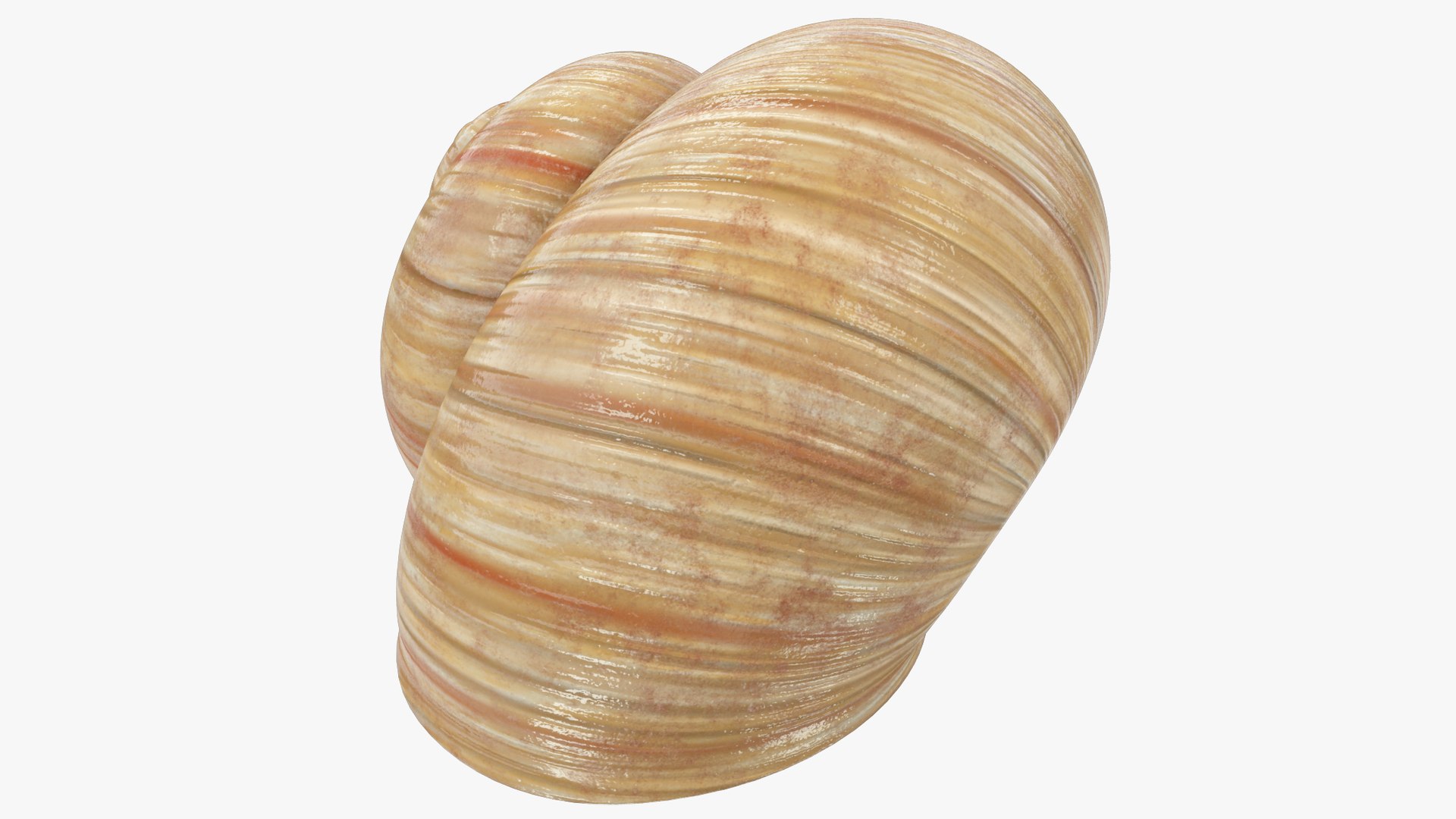 3D Snail V1 https://p.turbosquid.com/ts-thumb/tO/ojB9nZ/6K/ss1_004_005/png/1665534432/1920x1080/fit_q87/b3088aaeddd1ff246450b0d9b757bbb9e2eb07f5/ss1_004_005.jpg