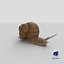 Snail V1