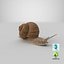 Snail V1