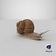 Snail V1