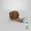 Snail V1