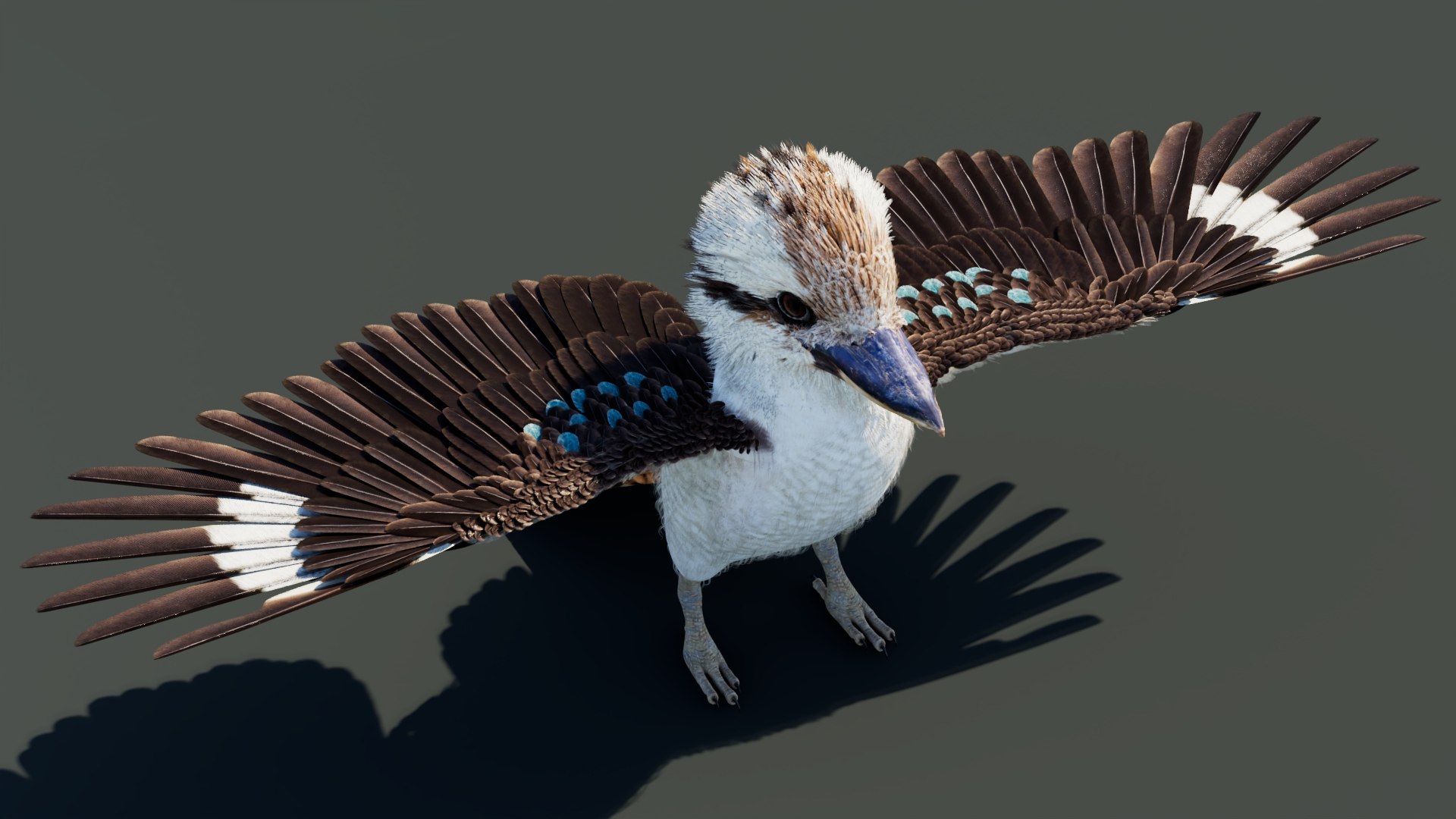 3D model Game-Ready Kookaburra 3D Model https://p.turbosquid.com/ts-thumb/tO/sQNZi3/0Y/kookaburra3dmodel05/jpg/1791397421/1920x1080/fit_q87/0a5cbd32103b2295e367c3028d87b955445c59a8/kookaburra3dmodel05.jpg