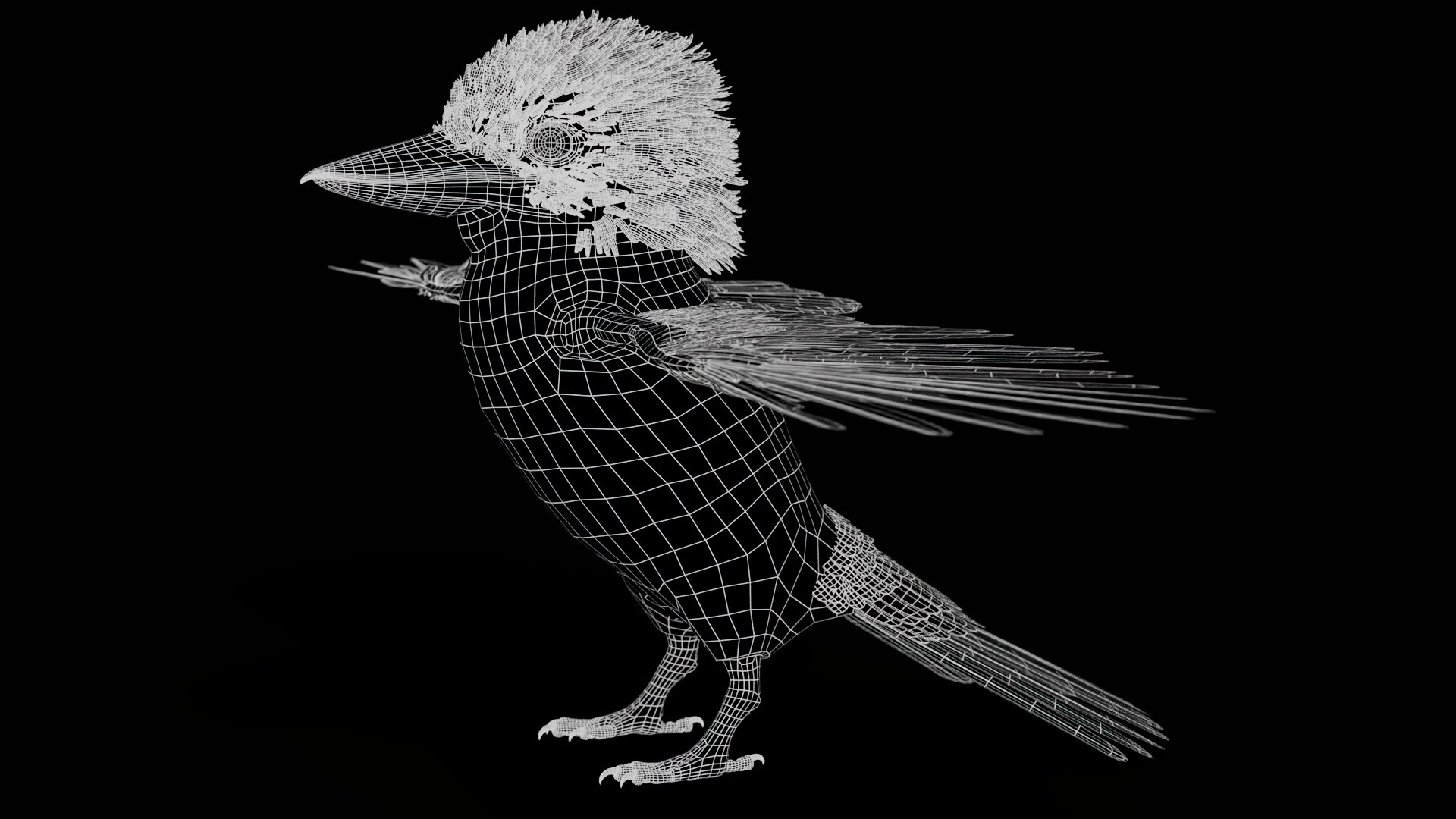 3D model Game-Ready Kookaburra 3D Model https://p.turbosquid.com/ts-thumb/tO/sQNZi3/48/kookaburra3dmodelwireframe01/jpg/1791397425/1920x1080/fit_q87/c4137a400258be86963223cae02ef12c8af09cba/kookaburra3dmodelwireframe01.jpg