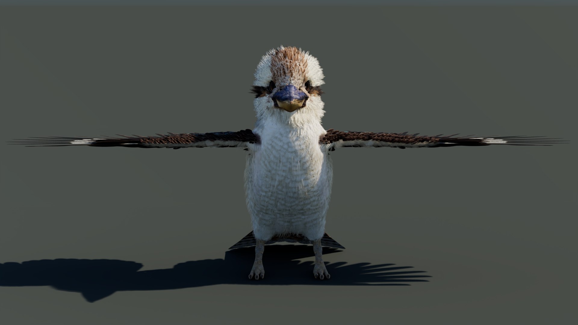 3D model Game-Ready Kookaburra 3D Model https://p.turbosquid.com/ts-thumb/tO/sQNZi3/7O/kookaburra3dmodel03/jpg/1791397420/1920x1080/fit_q87/482d2e7e0d931df7bcd80c4537969e9e480f17a4/kookaburra3dmodel03.jpg