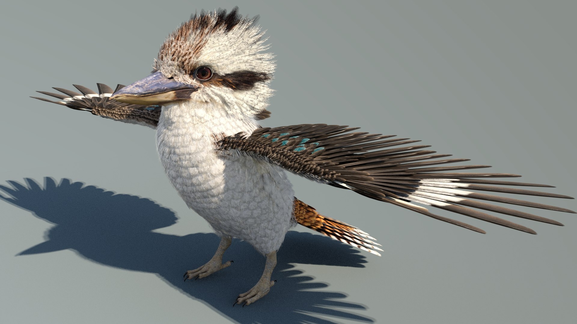 3D model Game-Ready Kookaburra 3D Model https://p.turbosquid.com/ts-thumb/tO/sQNZi3/7X/kookaburra3dmodel02_/jpg/1791397420/1920x1080/fit_q87/fe4a5f85098f700f10c80daecd6e8d0b91de32be/kookaburra3dmodel02_.jpg
