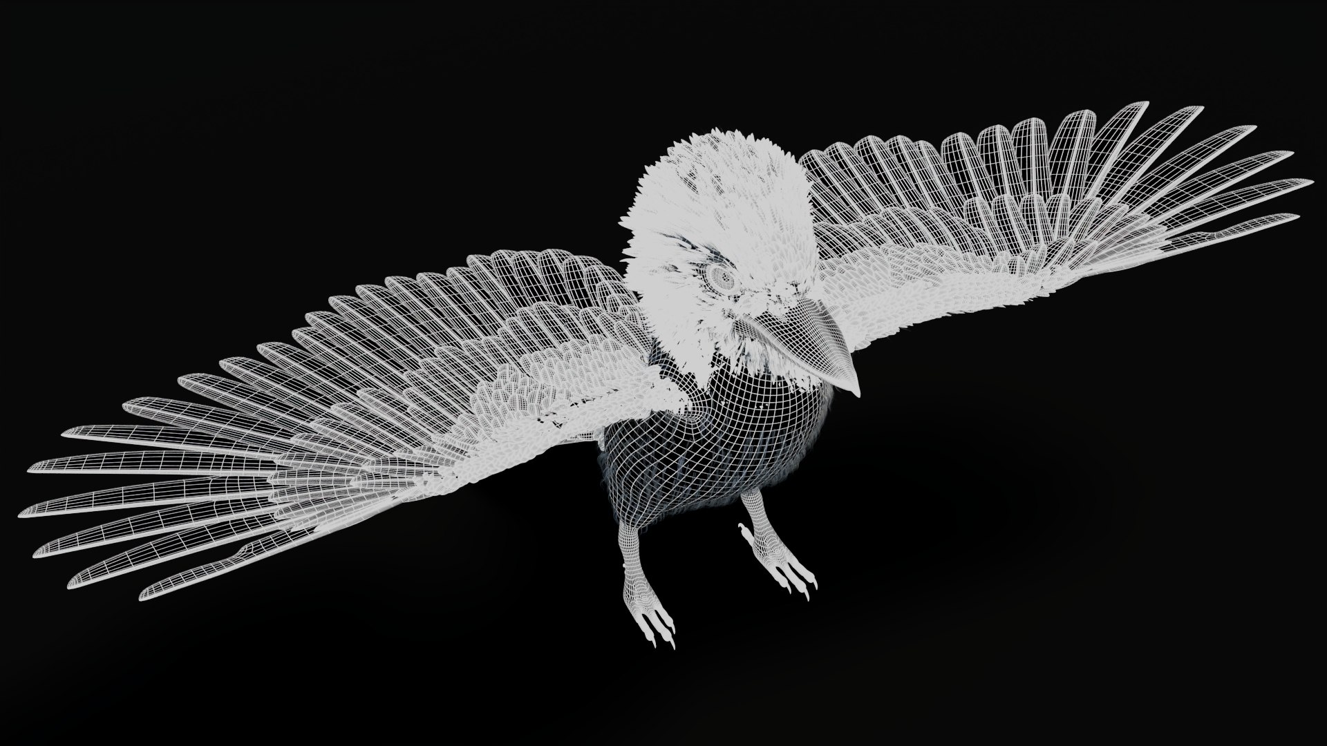 3D model Game-Ready Kookaburra 3D Model https://p.turbosquid.com/ts-thumb/tO/sQNZi3/EV/kookaburra3dmodelwireframe04/jpg/1791397427/1920x1080/fit_q87/800e547f396d2e7bd243cf0a6dc927c6e5845e1f/kookaburra3dmodelwireframe04.jpg