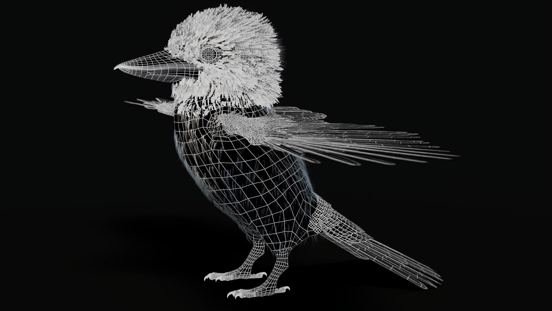 3D model Game-Ready Kookaburra 3D Model https://p.turbosquid.com/ts-thumb/tO/sQNZi3/EY/kookaburra3dmodelwireframe03/jpg/1791397426/1920x1080/fit_q87/03daf60428d9bf15238b964e013d78a17d34212a/kookaburra3dmodelwireframe03.jpg