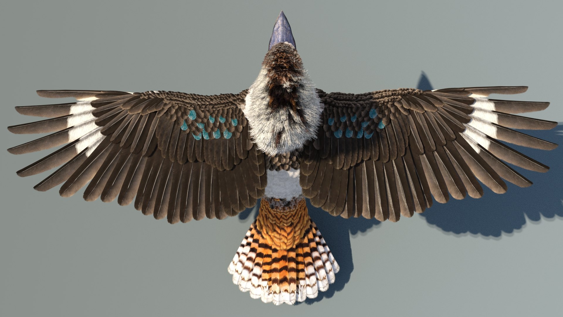 3D model Game-Ready Kookaburra 3D Model https://p.turbosquid.com/ts-thumb/tO/sQNZi3/Nk/kookaburra3dmodel08/jpg/1791397423/1920x1080/fit_q87/f1dbc648d0f87b61406fdcccbea56ffbd4f65c3a/kookaburra3dmodel08.jpg