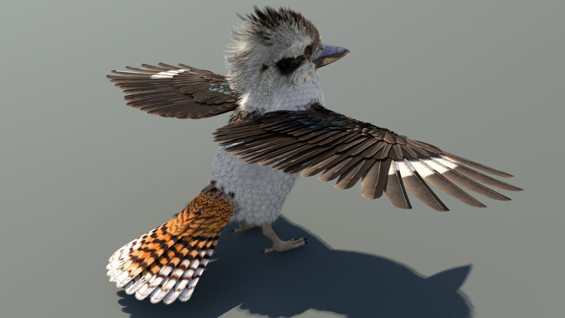 3D model Game-Ready Kookaburra 3D Model https://p.turbosquid.com/ts-thumb/tO/sQNZi3/Wt/kookaburra3dmodel07/jpg/1791397422/1920x1080/fit_q87/70c2931cc8ab04c5f7b36e4ca4bc9fbc6735bd4d/kookaburra3dmodel07.jpg