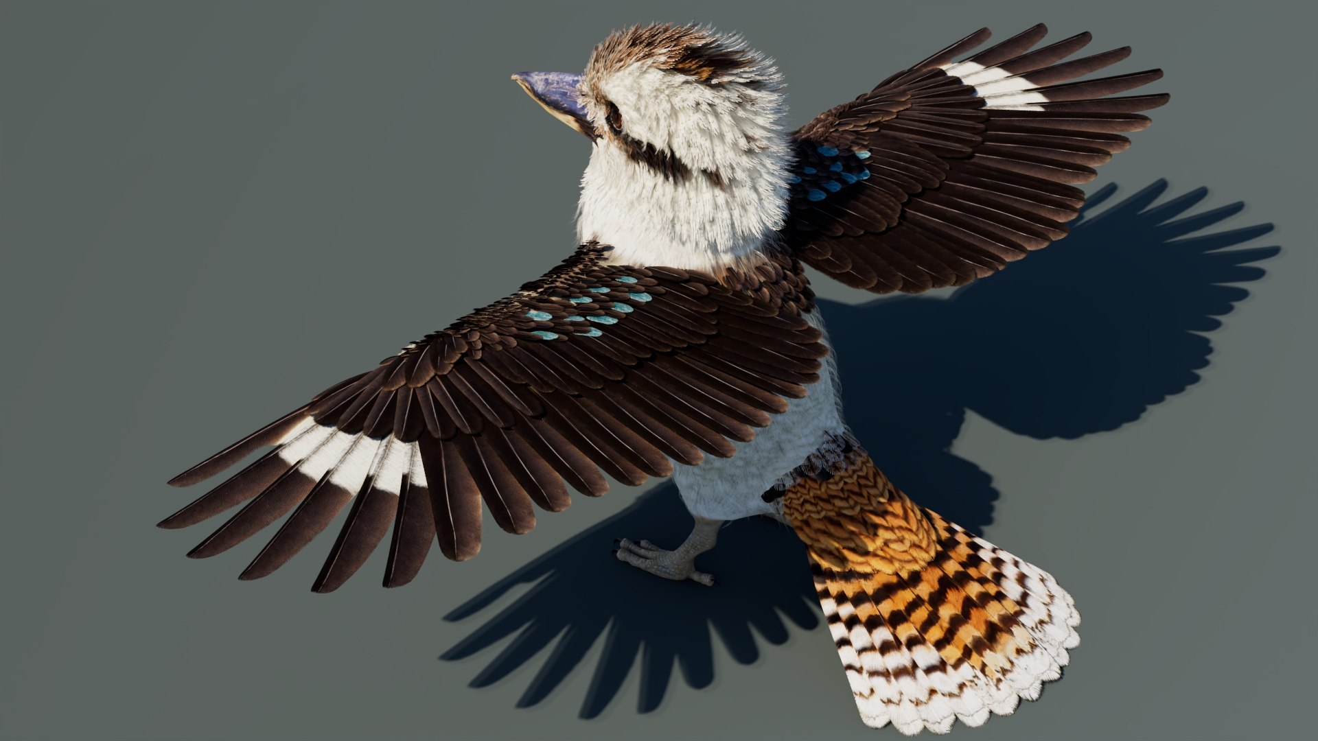 3D model Game-Ready Kookaburra 3D Model https://p.turbosquid.com/ts-thumb/tO/sQNZi3/cN/kookaburra3dmodel06/jpg/1791397422/1920x1080/fit_q87/5f0141e564aa9b6b30d51eb7c88abcfd46d45b87/kookaburra3dmodel06.jpg