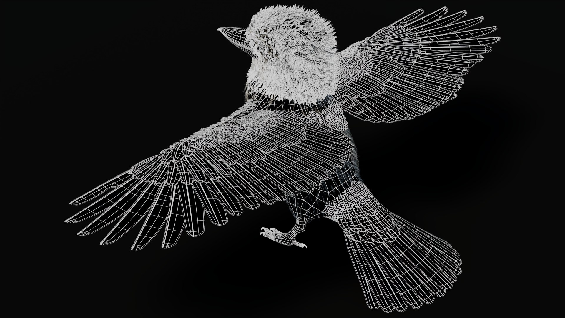 3D model Game-Ready Kookaburra 3D Model https://p.turbosquid.com/ts-thumb/tO/sQNZi3/gs/kookaburra3dmodelwireframe05/jpg/1791397427/1920x1080/fit_q87/cea41b0cce62af518641cfa1bc27c49ceb11afee/kookaburra3dmodelwireframe05.jpg