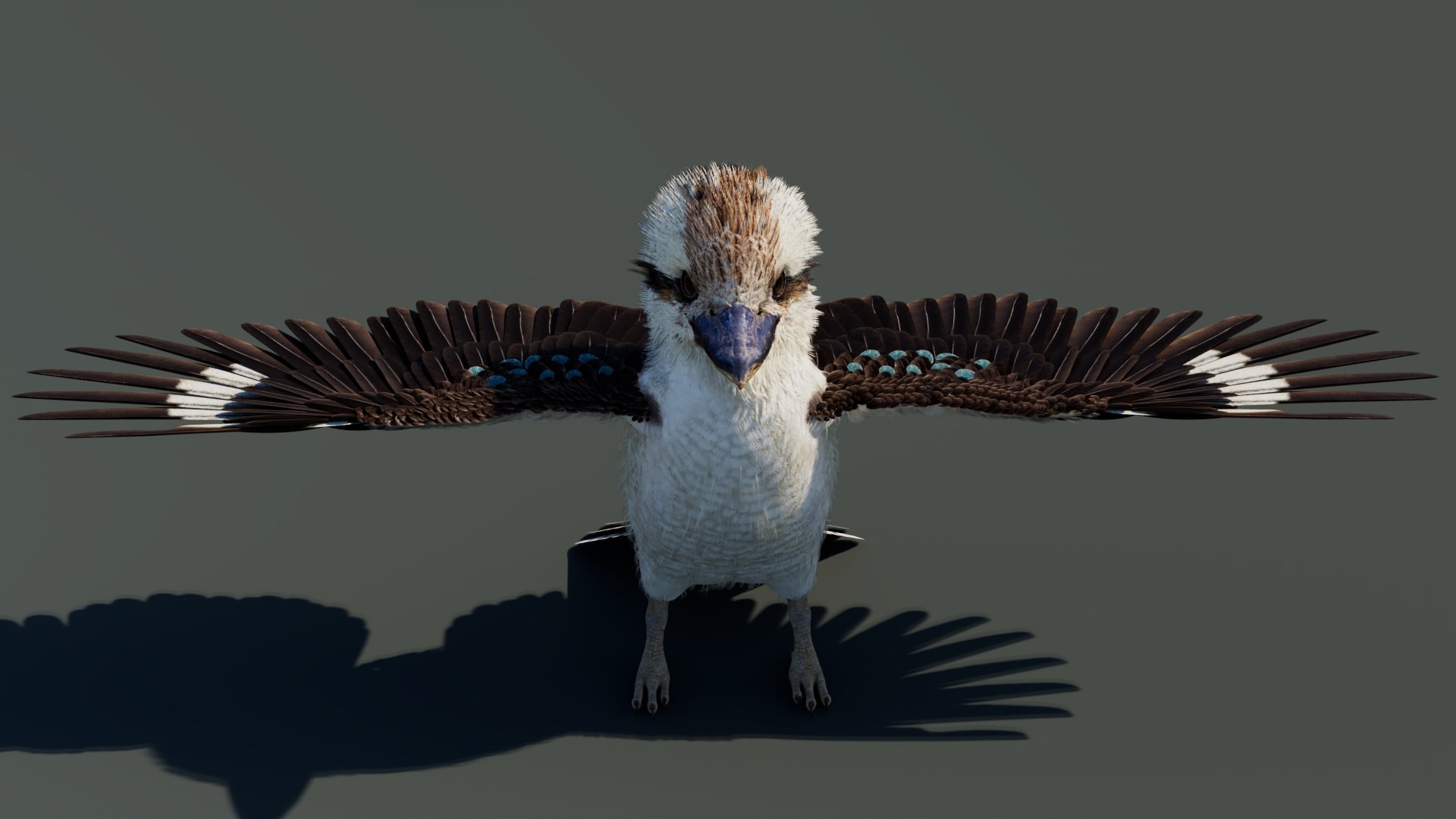 3D model Game-Ready Kookaburra 3D Model https://p.turbosquid.com/ts-thumb/tO/sQNZi3/l1/kookaburra3dmodel04/jpg/1791397421/1920x1080/fit_q87/7a6cfc6aedeafb69e80af761314fadeb13d41783/kookaburra3dmodel04.jpg