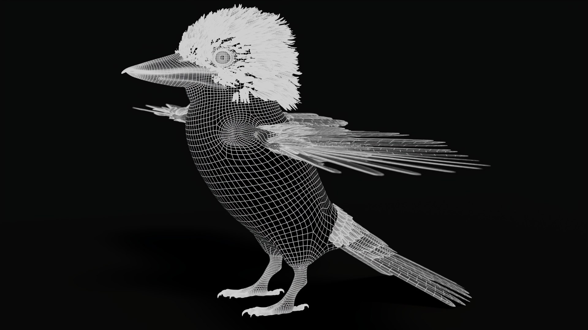 3D model Game-Ready Kookaburra 3D Model https://p.turbosquid.com/ts-thumb/tO/sQNZi3/sr/kookaburra3dmodelwireframe02/jpg/1791397426/1920x1080/fit_q87/a162c0e40606bf22479eb087671d1fd68e5de9c2/kookaburra3dmodelwireframe02.jpg