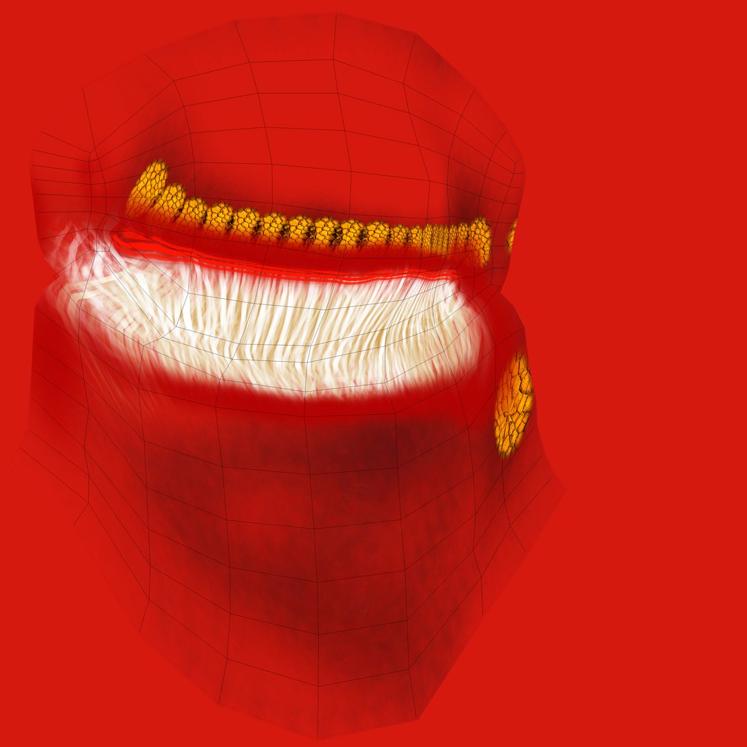 3d chinese lion model https://p.turbosquid.com/ts-thumb/tO/uPHVEB/6hBfC5HE/chinese_lion_eyelid_uv/jpg/1454574056/1920x1080/fit_q87/88aebcb5587cd31f90216e6157a6dce60e9743e3/chinese_lion_eyelid_uv.jpg