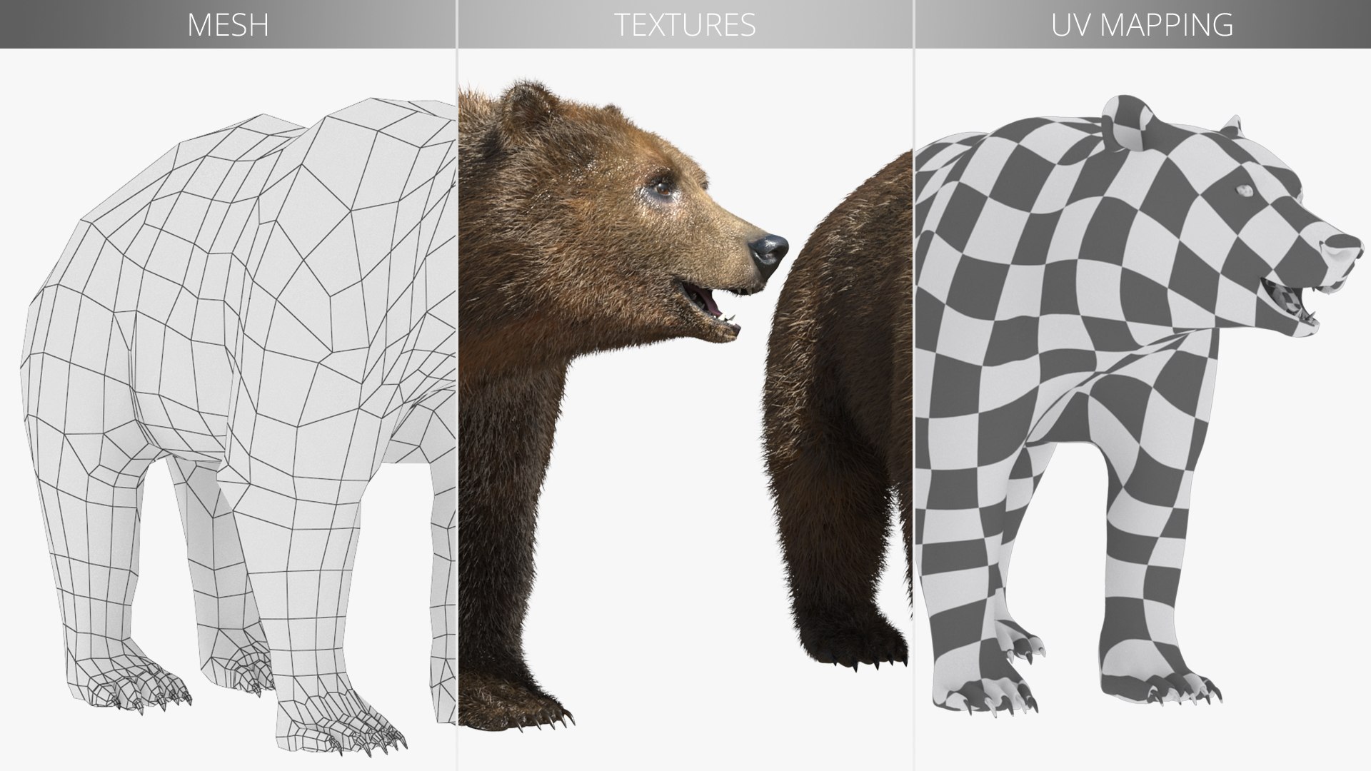 Realistic Bear Model with Groomed Fur model https://p.turbosquid.com/ts-thumb/tP/HNd3vB/oU/realistic_bear_model_with_groomed_fur_008/jpg/1754436971/1920x1080/fit_q87/e20cde630afbe8eb46f1cdf1d1ace33d9e1c051e/realistic_bear_model_with_groomed_fur_008.jpg