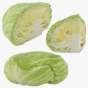 3D Flat Cabbage Collection model