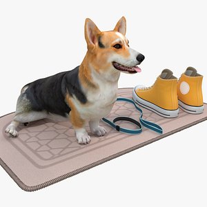 Corgi Dog on Rug with Walking Accessories 3D model