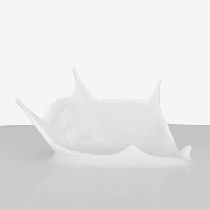 Liquid crown Splash Realflow model