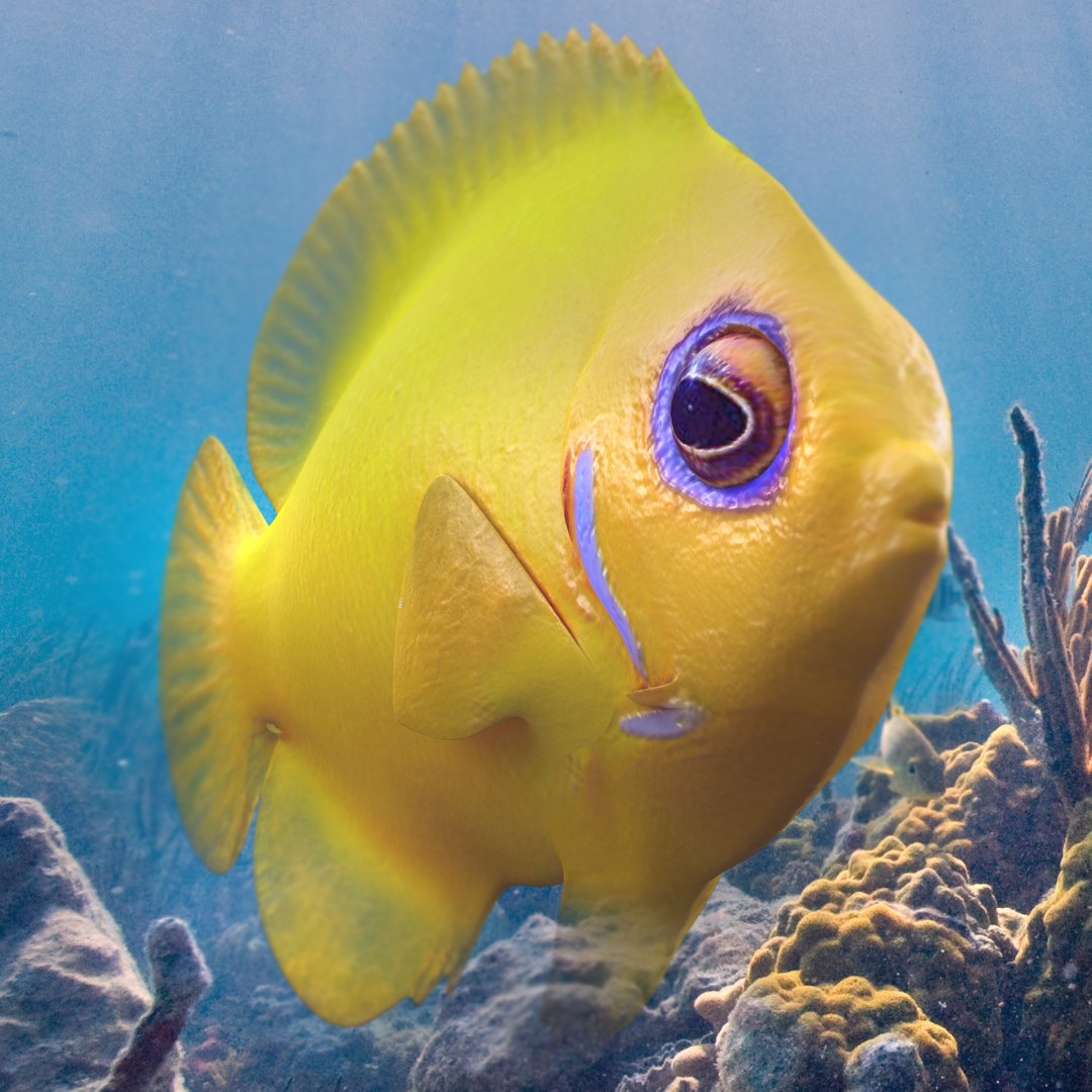 3dsmax lemon lauwiliwili tropical fish
