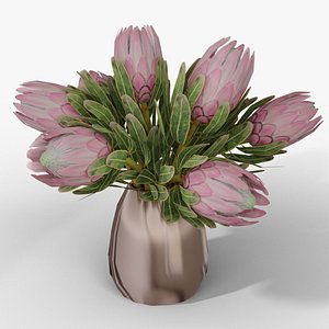 Pink Ice Protea Bouquet in Vase 3D model