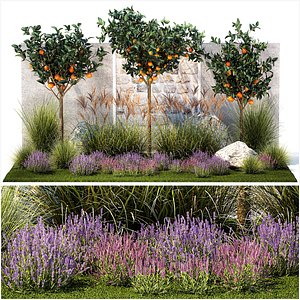 Garden with orange trees and lavender flowers 1394 3D model