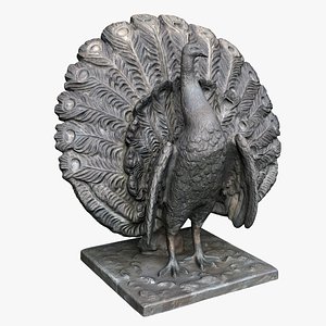 Bronze Peacock