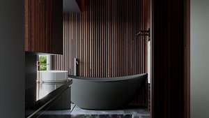 Modern Wooden Bathroom Interior 3D Model model