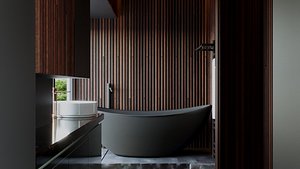 Modern Wooden Bathroom Interior