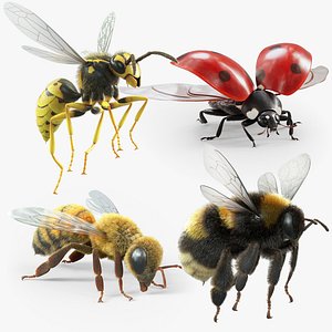 Flying Insects Pack Rigged: Bumblebee, Bee, Wasp, Ladybug