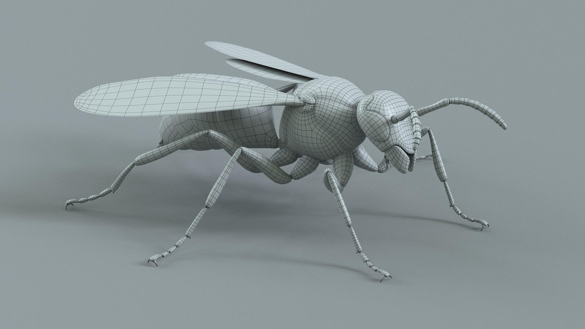 Flying Insects Pack Rigged: Bumblebee, Bee, Wasp, Ladybug 3D model https://p.turbosquid.com/ts-thumb/tP/rVNwBv/xW/wasp_26/jpg/1775825562/1920x1080/fit_q87/e698346a1ab320392b0f0607086b3e7c179e6c5e/wasp_26.jpg