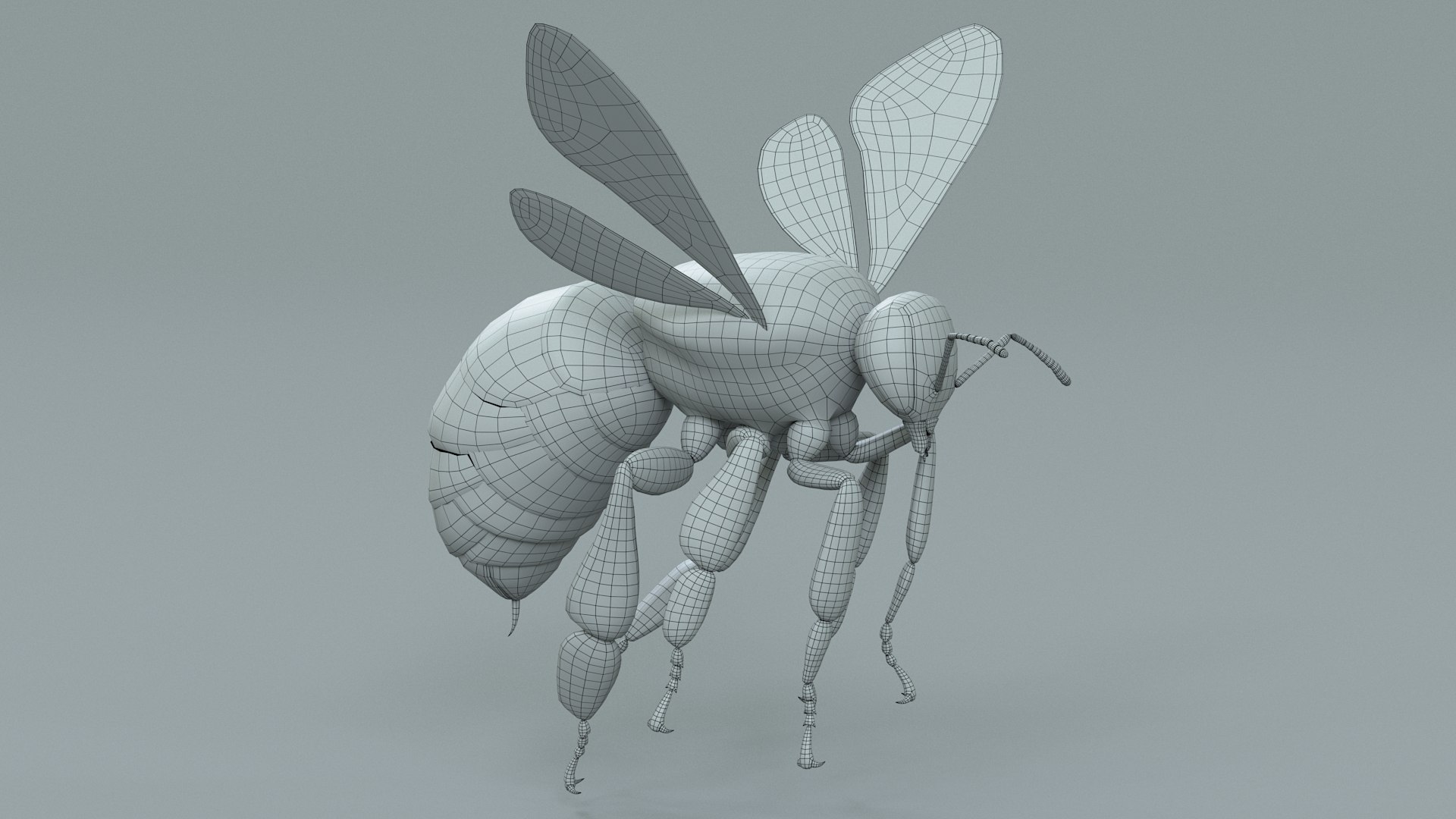 Flying Insects Pack Rigged: Bumblebee, Bee, Wasp, Ladybug 3D model https://p.turbosquid.com/ts-thumb/tP/rVNwBv/zq/bumblebee_22/jpg/1775825807/1920x1080/fit_q87/0247621b01e70f3f166f373e359cbe40a4b0b6c5/bumblebee_22.jpg