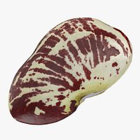 Giant Calico Lima Bean - 3D Scanned
