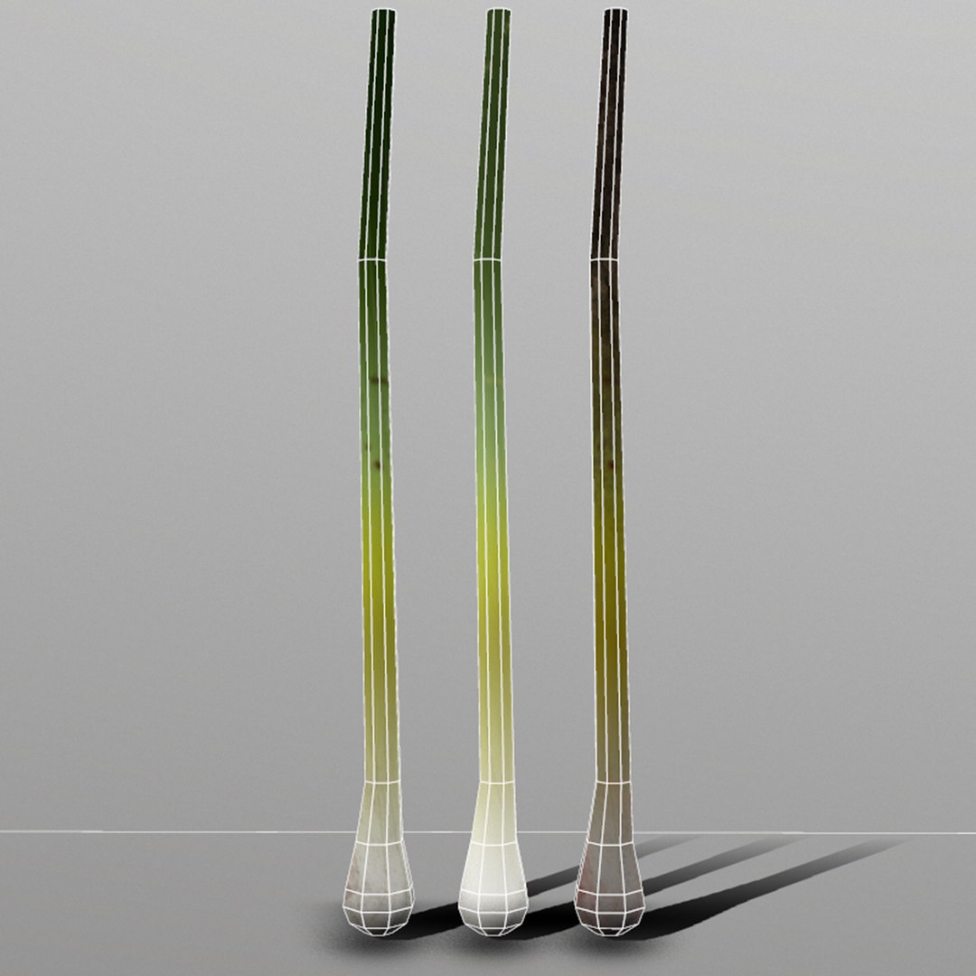 3D green onion https://p.turbosquid.com/ts-thumb/tQ/AiyVHA/Cjhk9ZQi/5_greenonion/png/1527096806/1920x1080/fit_q87/f33a57b9a596967ee57764401d2b3324d8c022a3/5_greenonion.jpg