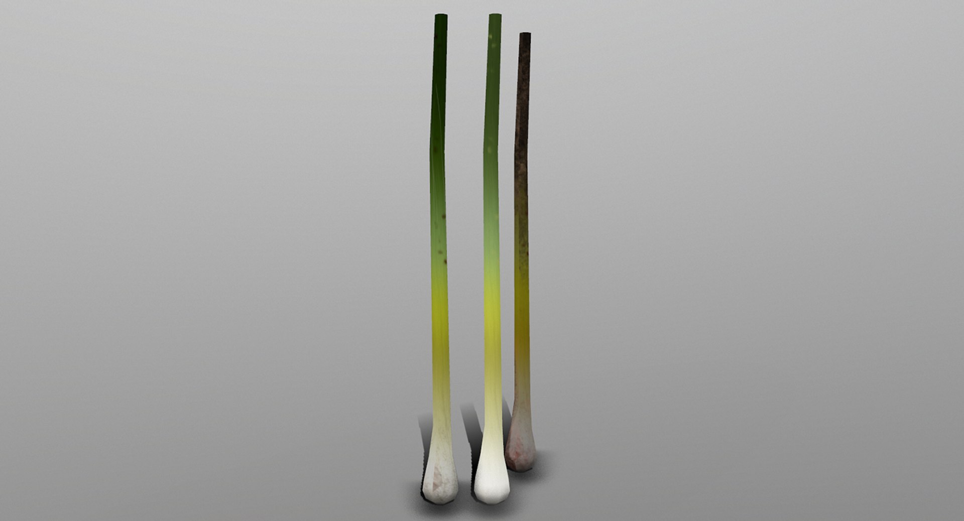 3D green onion https://p.turbosquid.com/ts-thumb/tQ/AiyVHA/FakC44aY/rrecovered/png/1527096793/1920x1080/fit_q87/c4bb207713b2dd2999740662e2c219bb2cf797d1/rrecovered.jpg