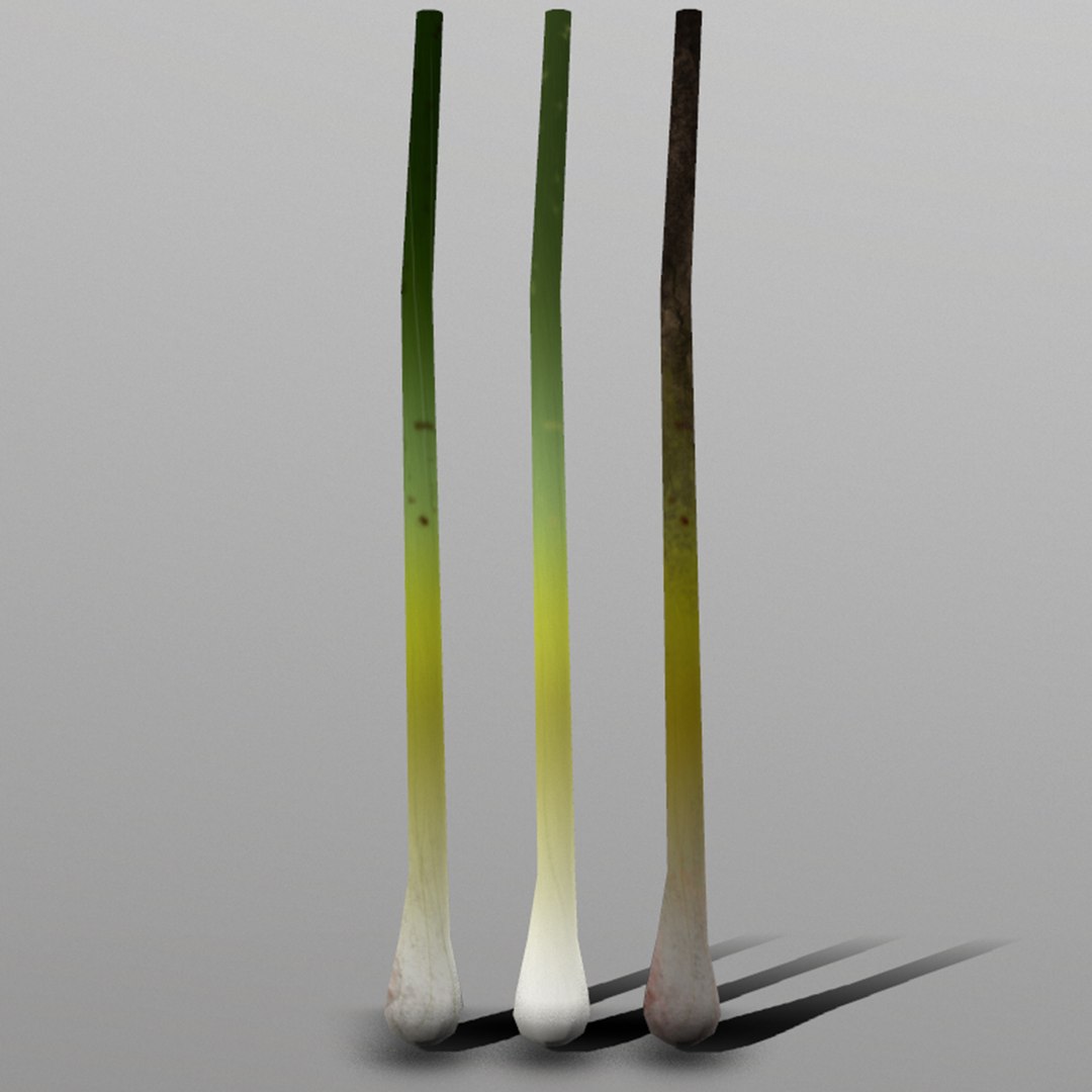 3D green onion https://p.turbosquid.com/ts-thumb/tQ/AiyVHA/HaHVEeKM/6_greenonion/png/1527096806/1920x1080/fit_q87/5f2dd50d157a7922688afce3a9923dd6f2646ba4/6_greenonion.jpg