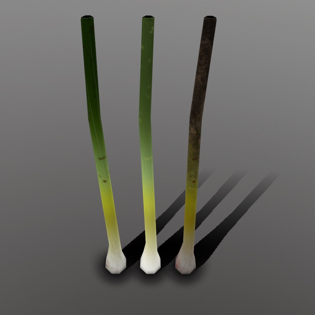 3D green onion https://p.turbosquid.com/ts-thumb/tQ/AiyVHA/Y6a3679e/3_greenonion/png/1527096806/1920x1080/fit_q87/0c89464af0c3dd3dd109bd2897d0db1123b6f0dd/3_greenonion.jpg