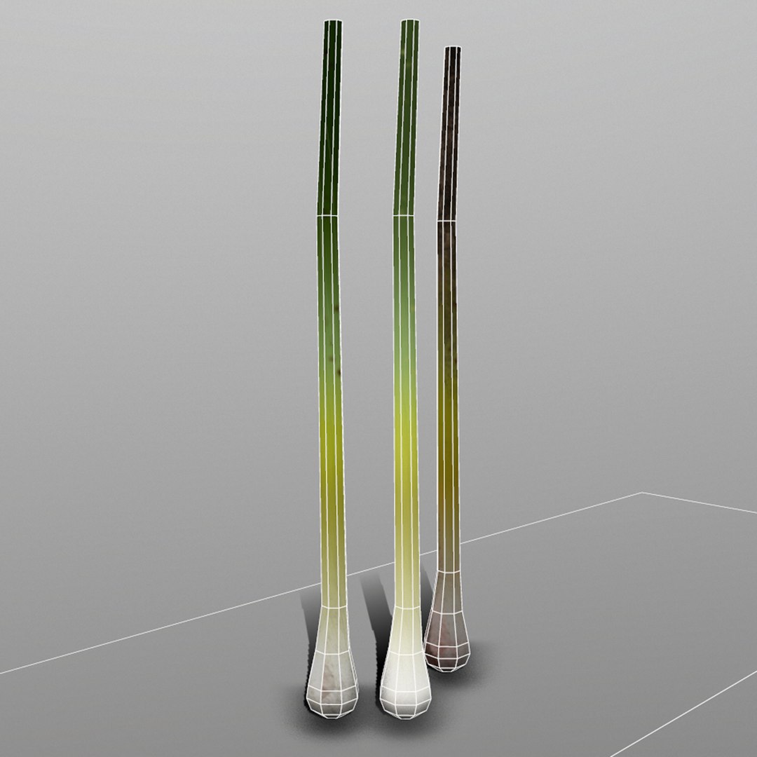 3D green onion https://p.turbosquid.com/ts-thumb/tQ/AiyVHA/f2Lufeye/1_greenonion/png/1527096806/1920x1080/fit_q87/a1a0b9e6872e18d8d7a38eb99fb7fcffa019be5f/1_greenonion.jpg