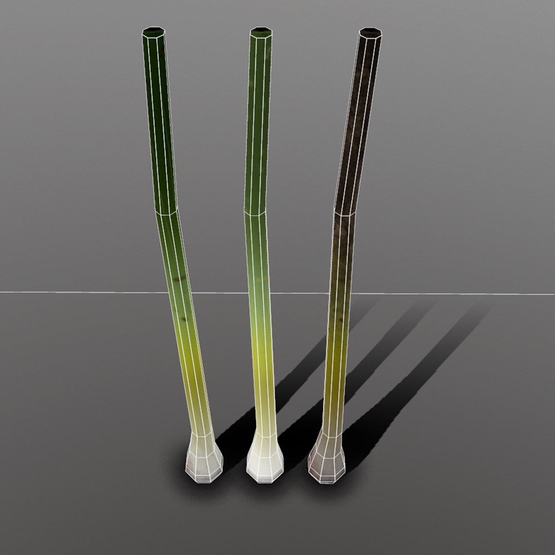 3D green onion https://p.turbosquid.com/ts-thumb/tQ/AiyVHA/wWfhKV78/4_greenonion/png/1527096806/1920x1080/fit_q87/80c454e7cad01f2c34086efc5dd2fa204017b1b0/4_greenonion.jpg