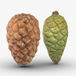 3D Pine Cone 2 Low PoLy model