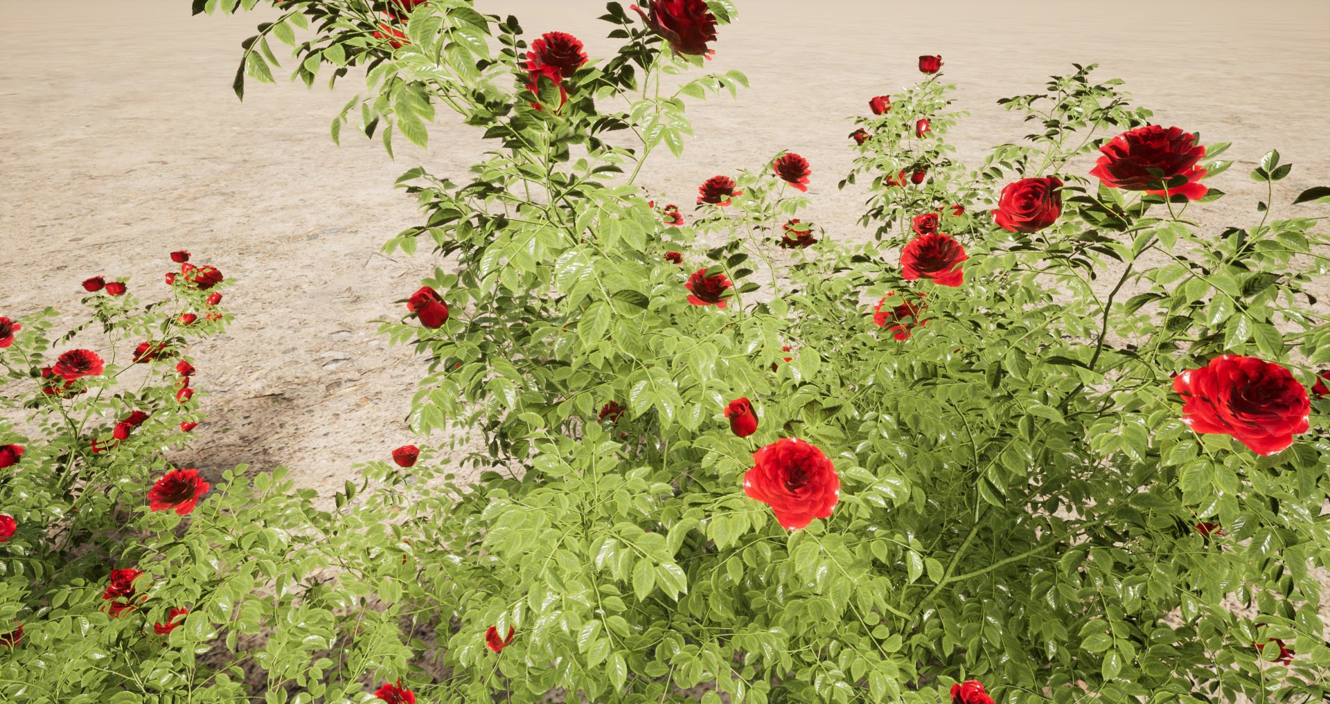 3D Rose - the genus Rosa model https://p.turbosquid.com/ts-thumb/tQ/ETp4uV/cM/rose0113/jpg/1699537013/1920x1080/fit_q87/9fa74bb35ff3c6bd31e35e04d666d19fa4fbf8ab/rose0113.jpg