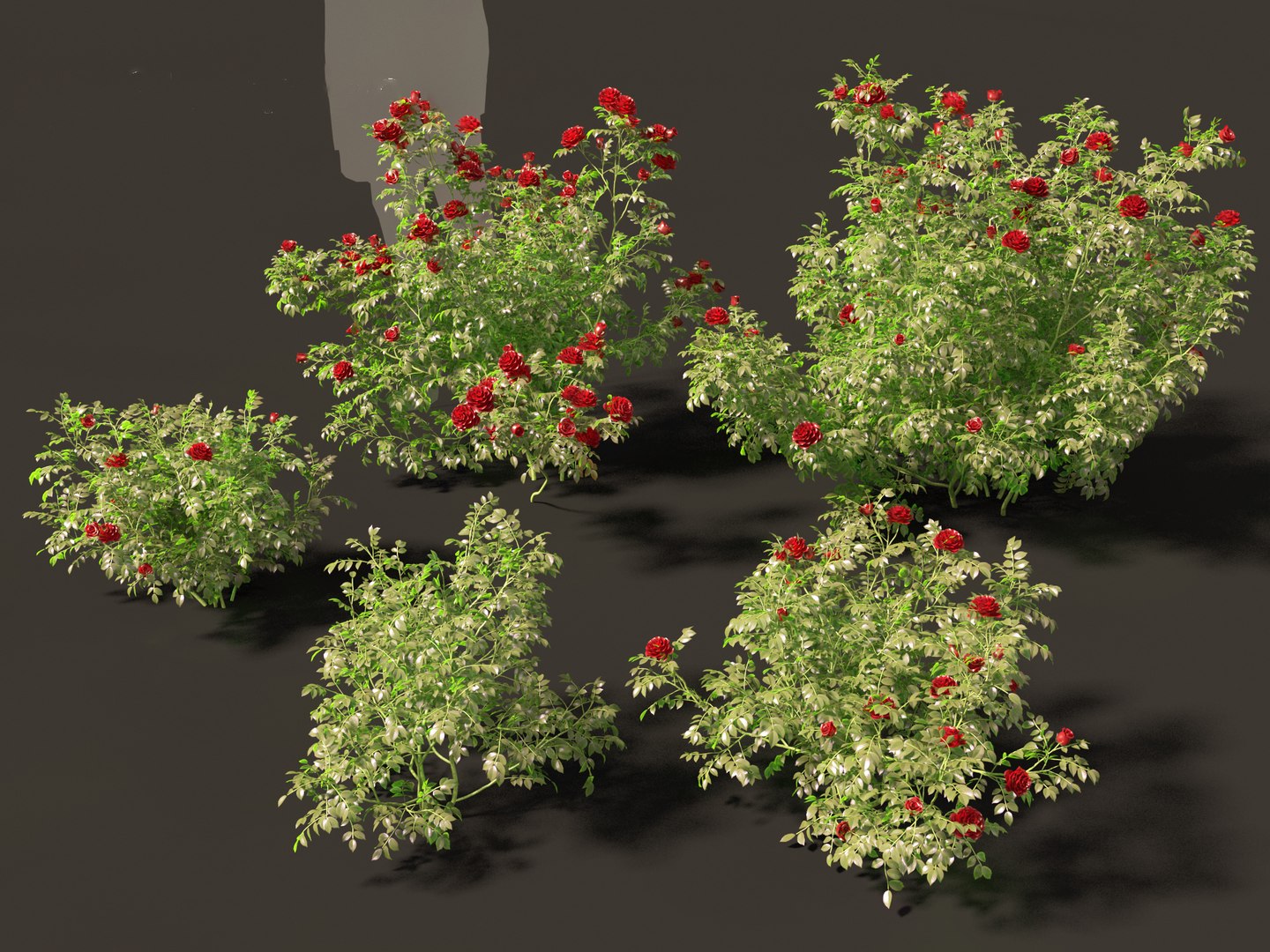 3D Rose - the genus Rosa model https://p.turbosquid.com/ts-thumb/tQ/ETp4uV/po/rose017/jpg/1699536996/1920x1080/fit_q87/94d5fec930961510898a0f7f3f255b0d62ee6772/rose017.jpg