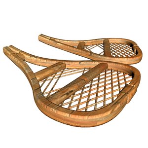 3ds max snow shoes