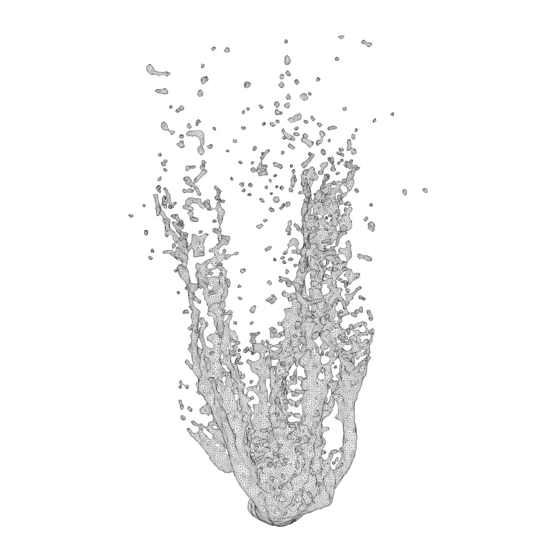 Water Blast Splash 3D Model - TurboSquid 1438938