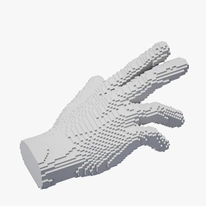 Hand Sculpture