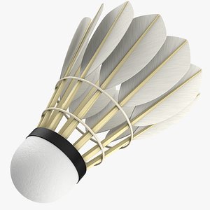 3D model Shuttlecock