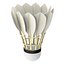 3D model Shuttlecock