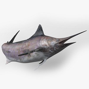 Fishing Rod Blue Marlin Tournament Edition 3D Model $19 - .3ds