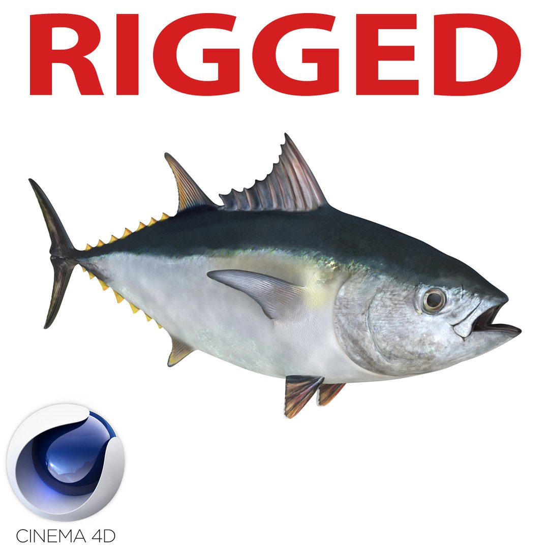 Tuna Fish Rigged for Cinema 4D 3D model preview