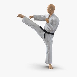 Japanese Karate Fighter Pose 2